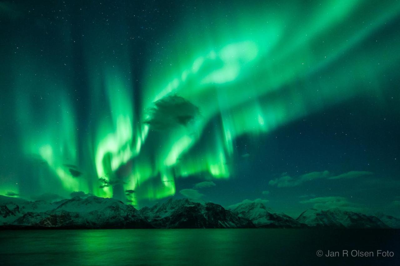 Апартаменты Lyngenfjord,Odins Hus Olderdalen Экстерьер фото