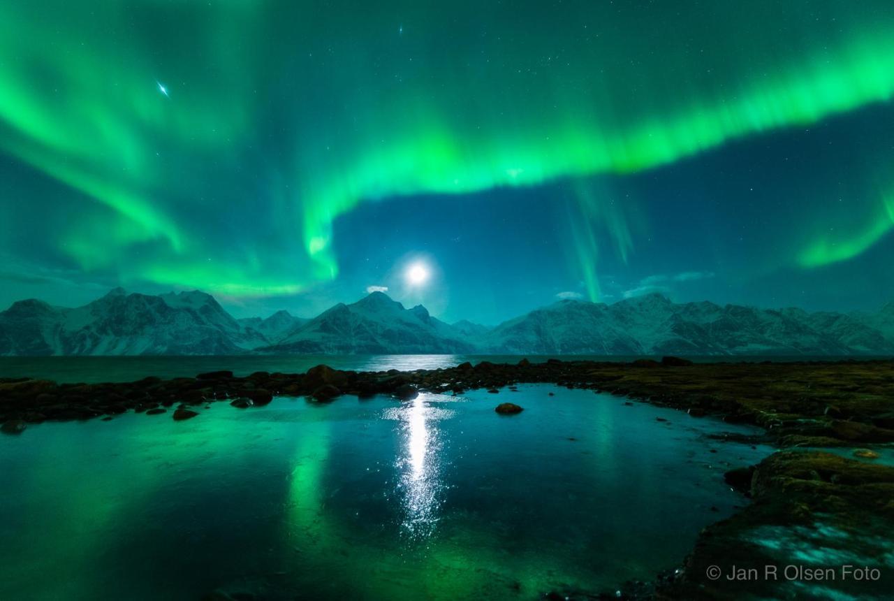 Апартаменты Lyngenfjord,Odins Hus Olderdalen Экстерьер фото