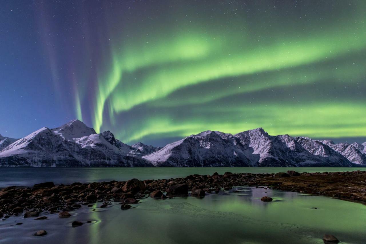 Апартаменты Lyngenfjord,Odins Hus Olderdalen Экстерьер фото
