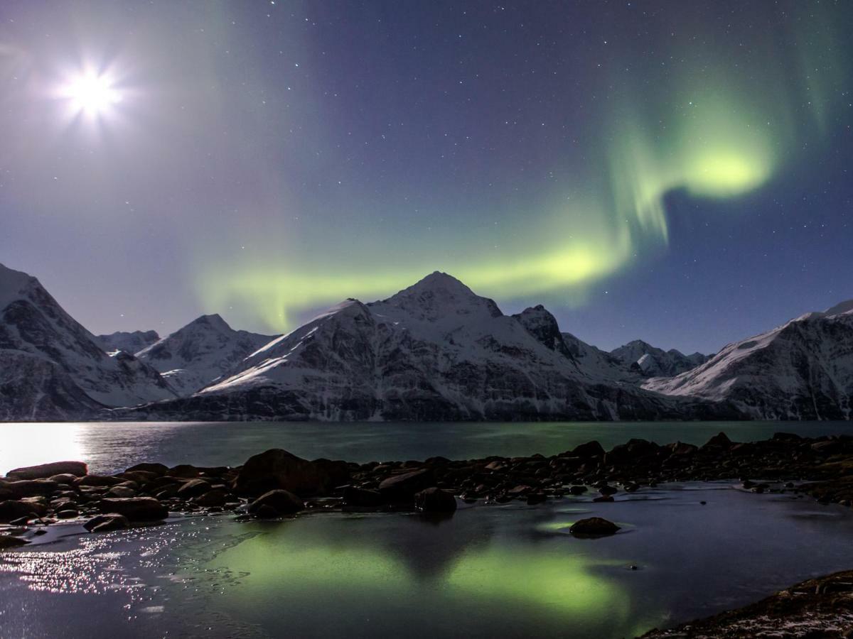 Апартаменты Lyngenfjord,Odins Hus Olderdalen Экстерьер фото