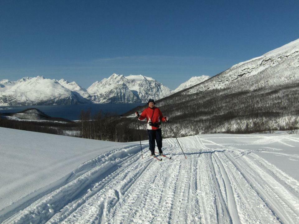 Апартаменты Lyngenfjord,Odins Hus Olderdalen Экстерьер фото